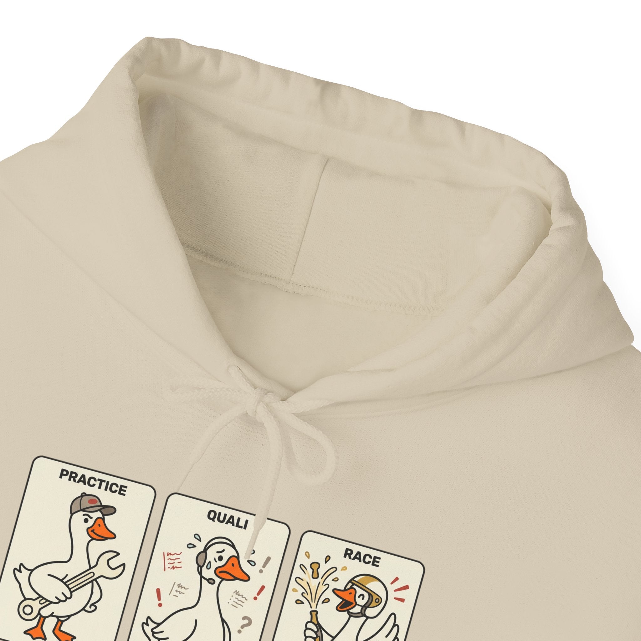 F1 Funny Goose Racing Hoodie – Practice Quali Race Silly Goose Hoodie, Motorsport Goose Sweatshirt, Cute Racing Fan Gift
