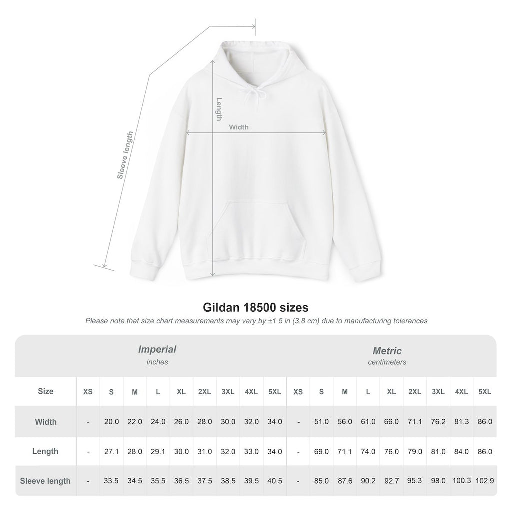 F1 Funny Goose Racing Hoodie – Practice Quali Race Silly Goose Hoodie, Motorsport Goose Sweatshirt, Cute Racing Fan Gift