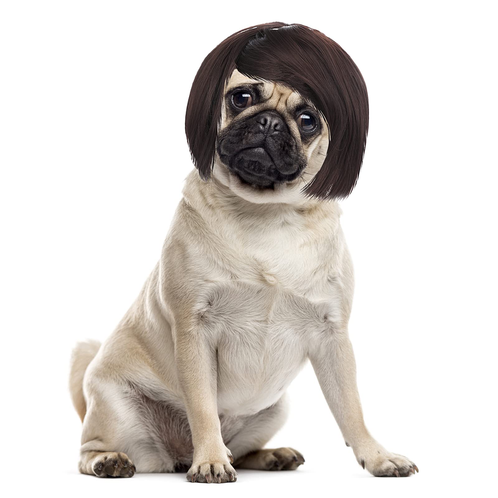 Cobee Funny Dog Cat Cosplay Wig – Adjustable Costume Pet Funny Headwear for Halloween, Christmas, and Festivals