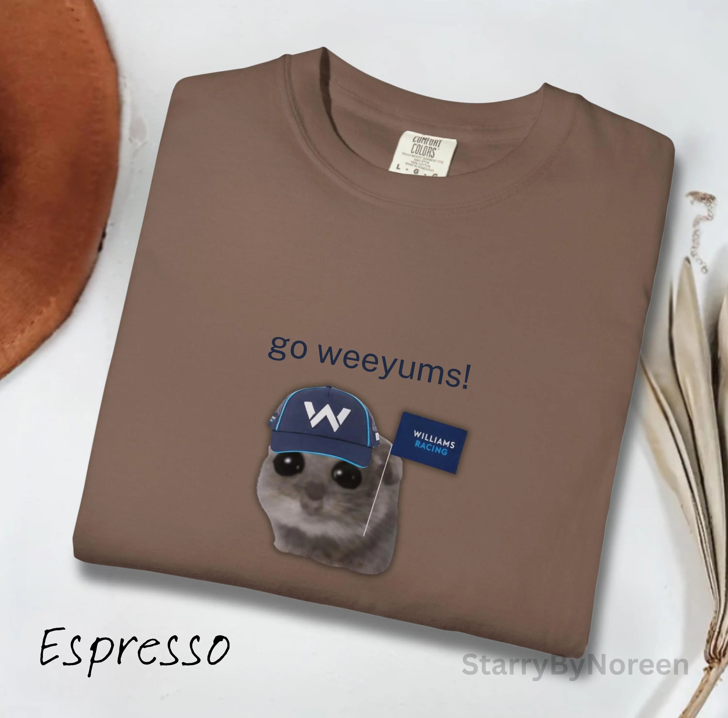 Williams Racing F1 Memes T-Shirt, Go Weeyums Shirt, Funny Formula 1 Tee, Carlos Sainz