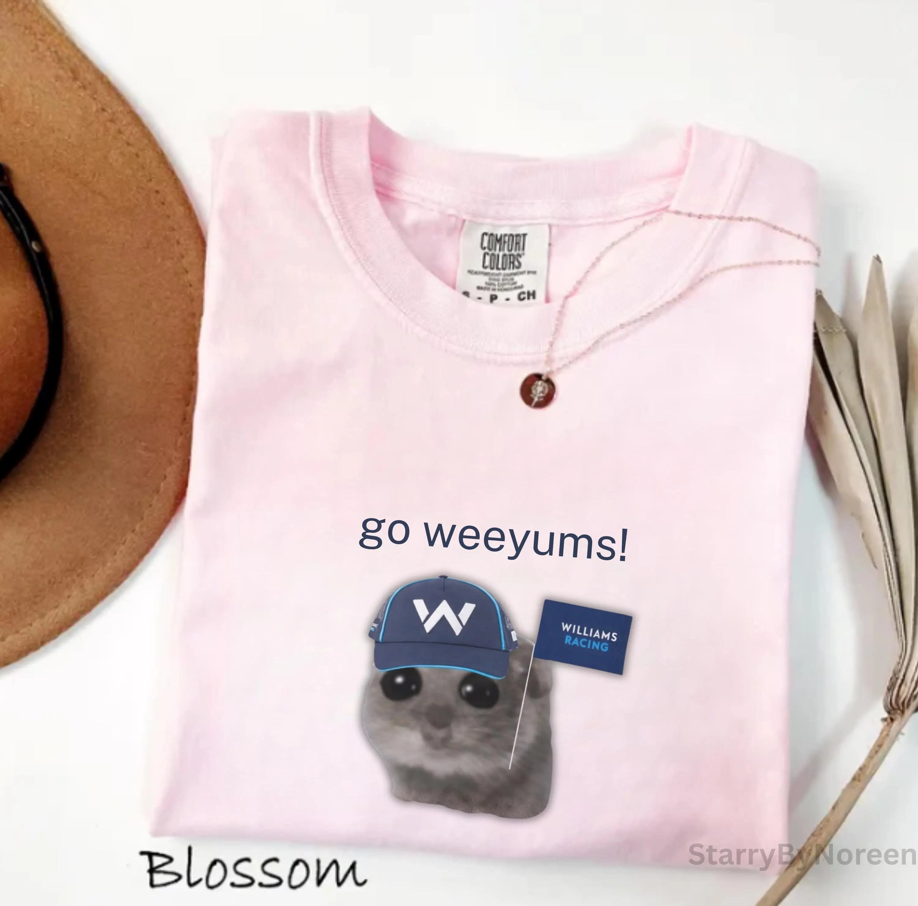 Williams Racing F1 Memes T-Shirt, Go Weeyums Shirt, Funny Formula 1 Tee, Carlos Sainz