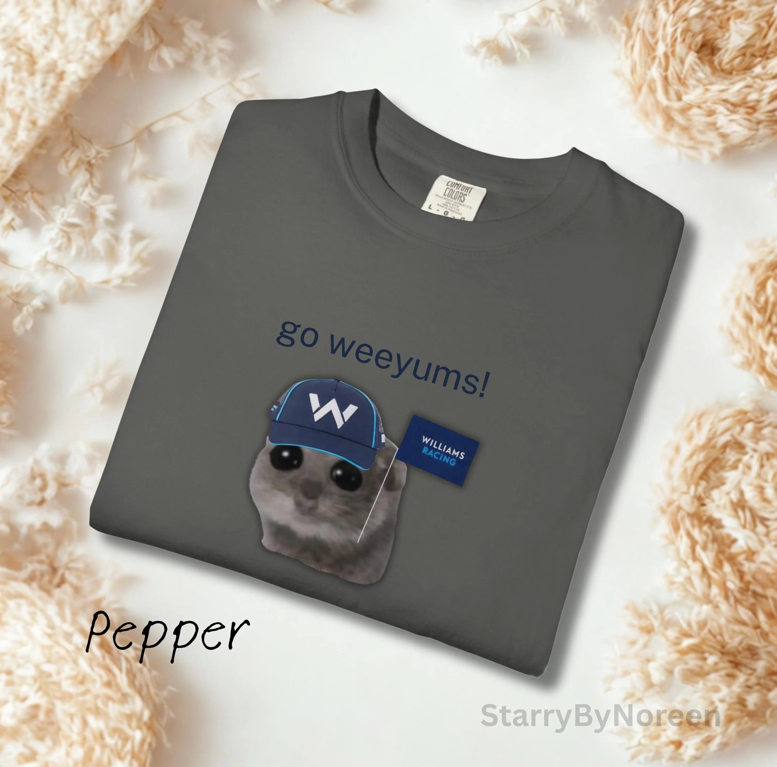 Williams Racing F1 Memes T-Shirt, Go Weeyums Shirt, Funny Formula 1 Tee, Carlos Sainz