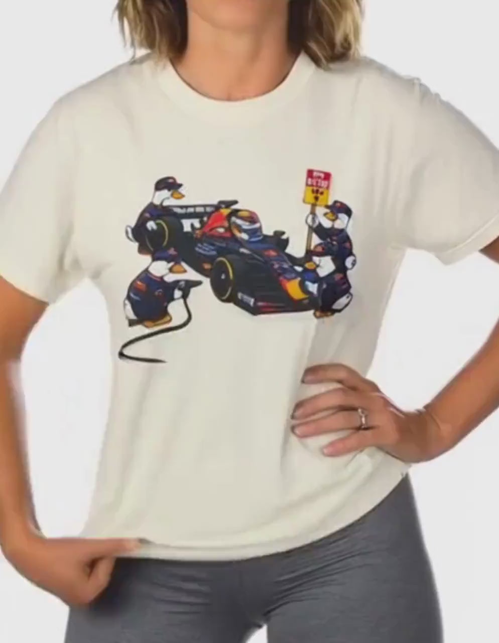 F1 Red Bull Racing Silly Goose Shirt, Pit Crew Tee, Formula 1 Racing T-shirt